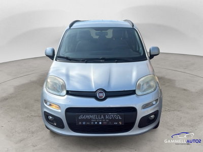 Fiat Panda 1.2 EasyPower Easy usata