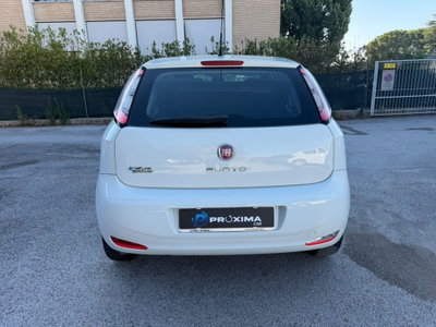Fiat Punto 1.4 8V 5 porte Natural Power Easy (7)