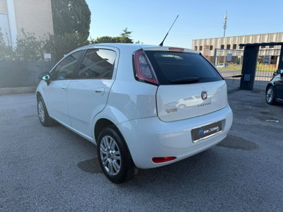 Fiat Punto 1.4 8V 5 porte Natural Power Easy (8)