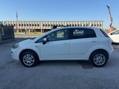 Fiat Punto 1.4 8V 5 porte Natural Power Easy (9)