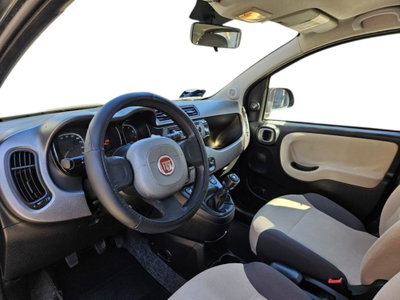 Fiat Panda 1.2 Easy (6)