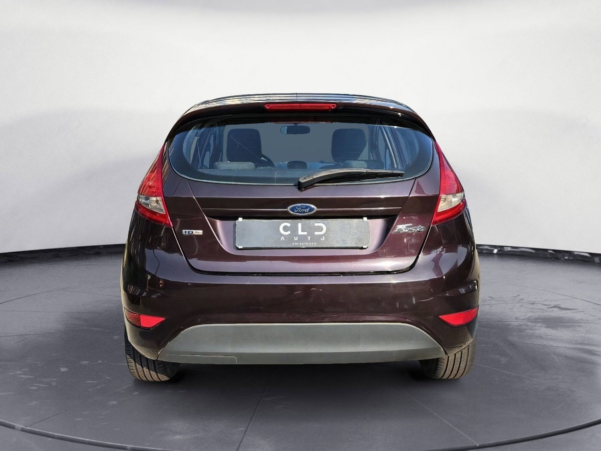 Ford Fiesta 1.4 TDCi 5p. Ambiente (4)