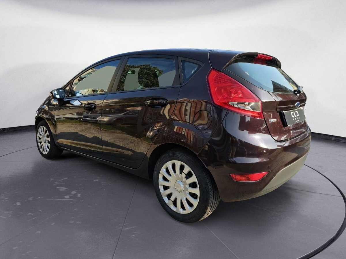 Ford Fiesta 1.4 TDCi 5p. Ambiente (5)