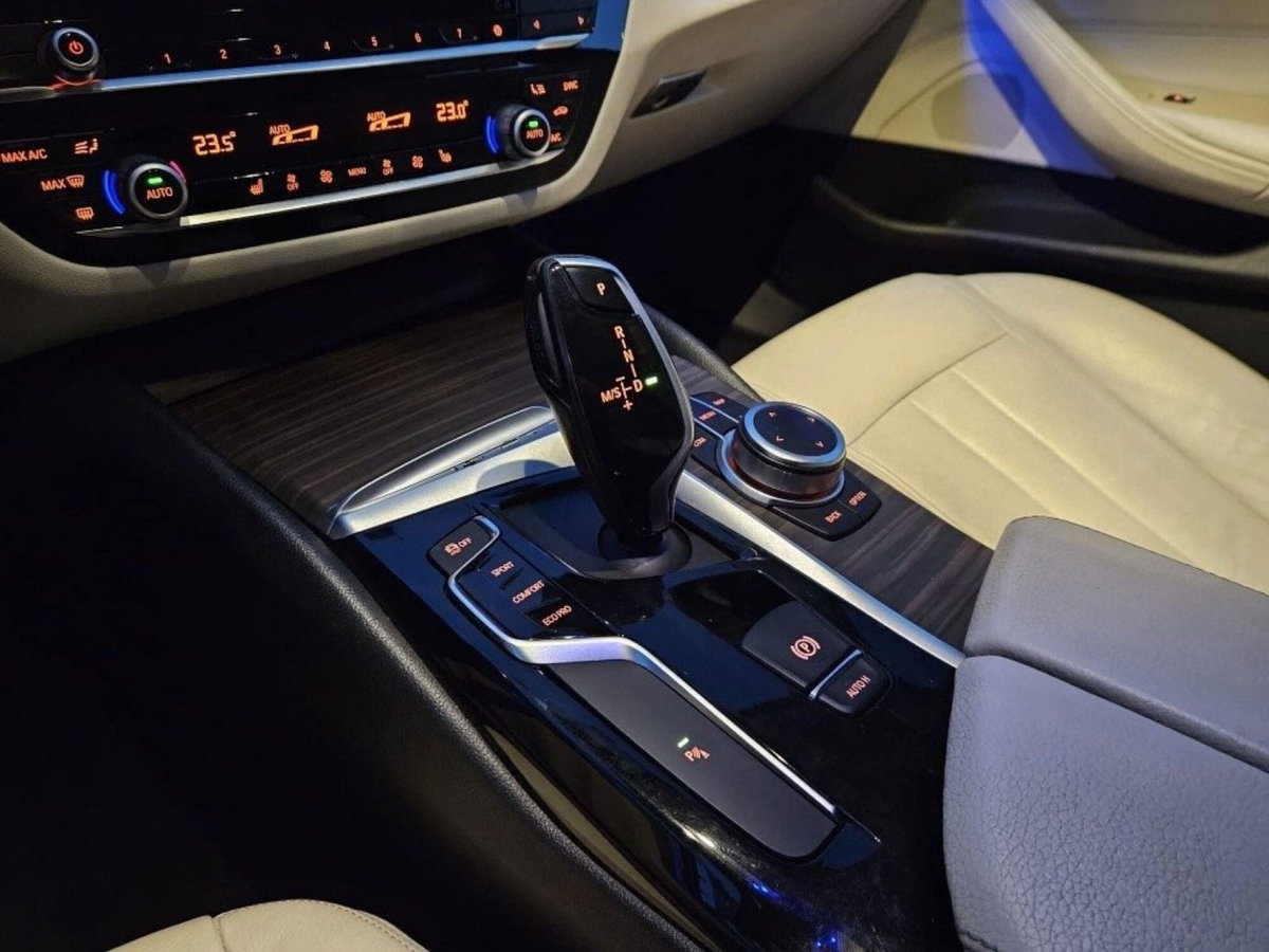 BMW Serie 5 Touring 520d  Luxury (15)