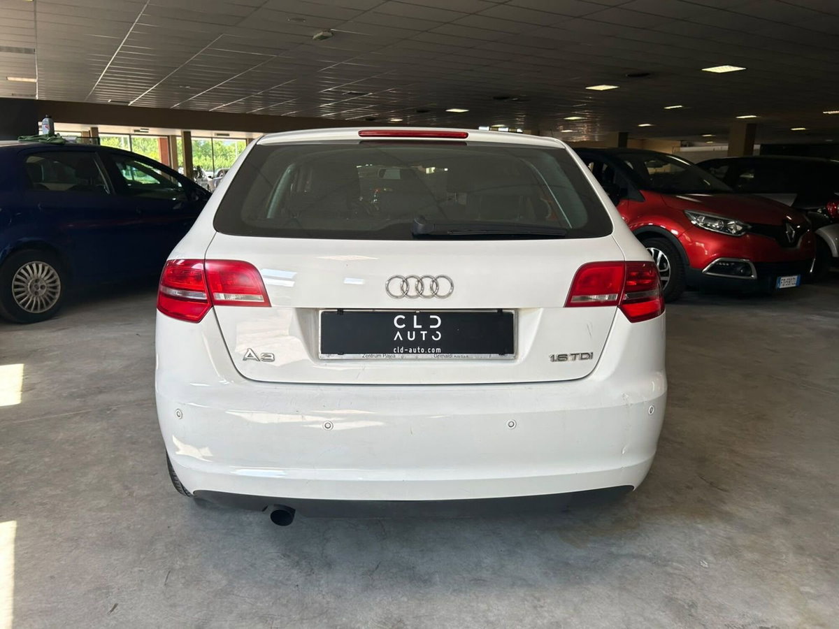 Audi A3 Sportback 1.6 TDI 90 CV CR F.AP Ambition (4)