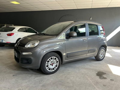 Fiat Panda 1.2 Lounge usata