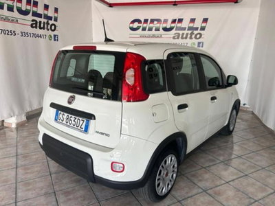 Fiat Panda 1.0 firefly hybrid s&s 70cv 5p.ti (3)