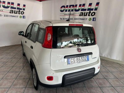 Fiat Panda 1.0 firefly hybrid s&s 70cv 5p.ti (4)