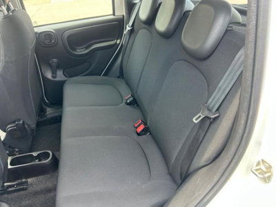 Fiat Panda 1.0 firefly hybrid s&s 70cv 5p.ti (6)