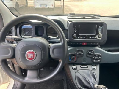 Fiat Panda 1.0 firefly hybrid s&s 70cv 5p.ti (7)