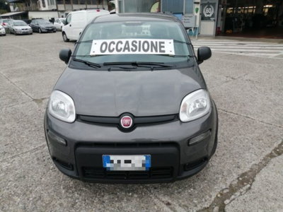Fiat Panda 1.0 firefly hybrid s&s 70cv 5p.ti (2)