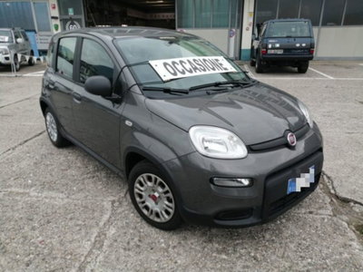 Fiat Panda 1.0 firefly hybrid s&s 70cv 5p.ti (3)