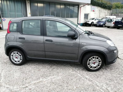Fiat Panda 1.0 firefly hybrid s&s 70cv 5p.ti (4)