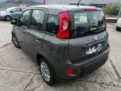 Fiat Panda 1.0 firefly hybrid s&s 70cv 5p.ti (6)