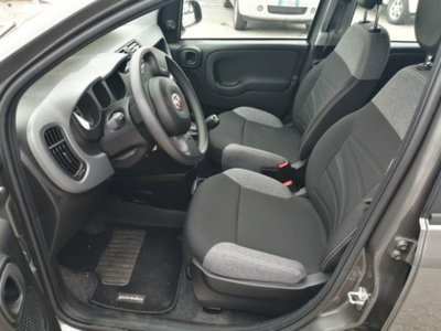 Fiat Panda 1.0 firefly hybrid s&s 70cv 5p.ti (8)