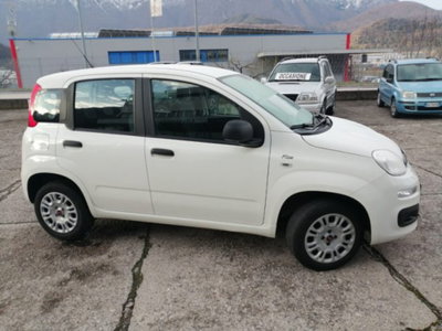 Fiat Panda 1.0 firefly hybrid s&s 70cv 5p.ti (2)