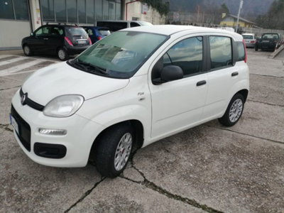 Fiat Panda 1.0 firefly hybrid s&s 70cv 5p.ti (6)