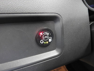 Dacia Duster 1.0 TCe 100 CV ECO-G 4x2 Comfort (20)