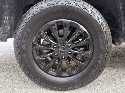 Foton Tunland Tunland V9 2.0 vgt turbo 48V Ultra 8at (19)