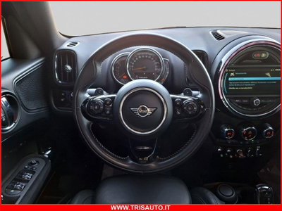 MINI Mini Countryman 2.0 Cooper SD Frozen Edition Countryman ALL4 Automatica (17)