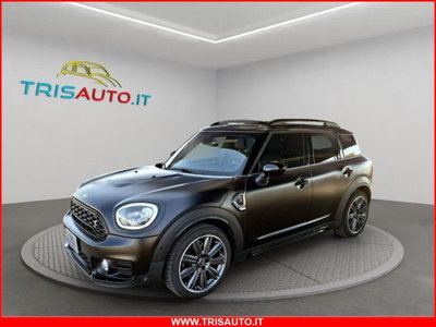 MINI Mini Countryman 2.0 Cooper SD Frozen Edition Countryman ALL4 Automatica (3)