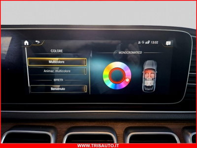 Mercedes-Benz GLE SUV 300 d 4Matic Premium Plus (19)