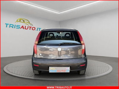 Fiat Punto 1.2 5 porte Actual (12)