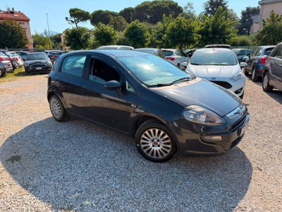 Fiat Punto Evo 1.2 5 porte S&S Active (2)