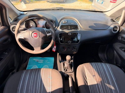 Fiat Punto Evo 1.2 5 porte S&S Active (5)