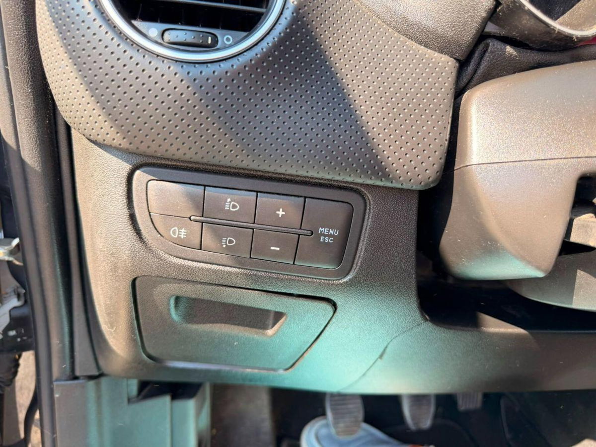 Fiat Punto Evo 1.2 5 porte S&S Active (9)