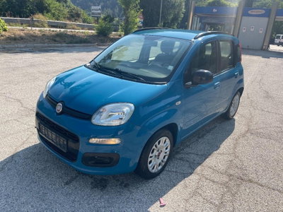 Fiat Panda 1.2 EasyPower Easy usata