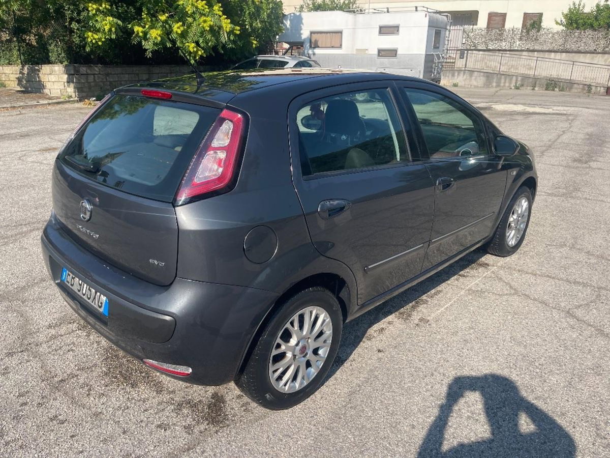 Fiat Punto Evo 1.2 5 porte S&S Dynamic (5)