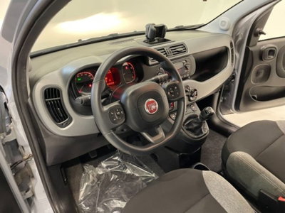 Fiat Panda 1.0 firefly hybrid s&s 70cv 5p.ti (15)