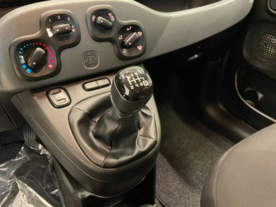 Fiat Panda 1.0 firefly hybrid s&s 70cv 5p.ti (9)