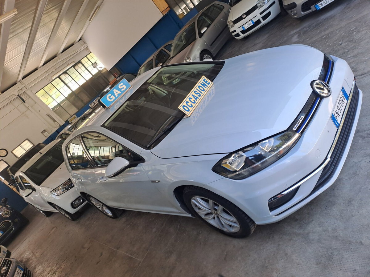 Volkswagen Golf 1.4 TGI 5p. Executive BlueMotion (2)