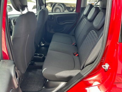 Fiat Panda Cross 1.0 firefly hybrid Cross s&s 70cv 5p.ti (8)