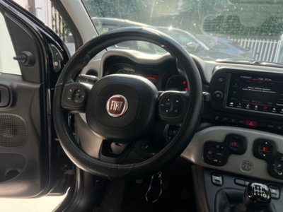 Fiat Panda Cross 1.0 firefly hybrid Cross s&s 70cv 5p.ti (16)