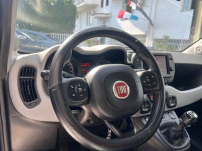 Fiat Panda Cross 1.0 firefly hybrid Cross s&s 70cv 5p.ti (18)