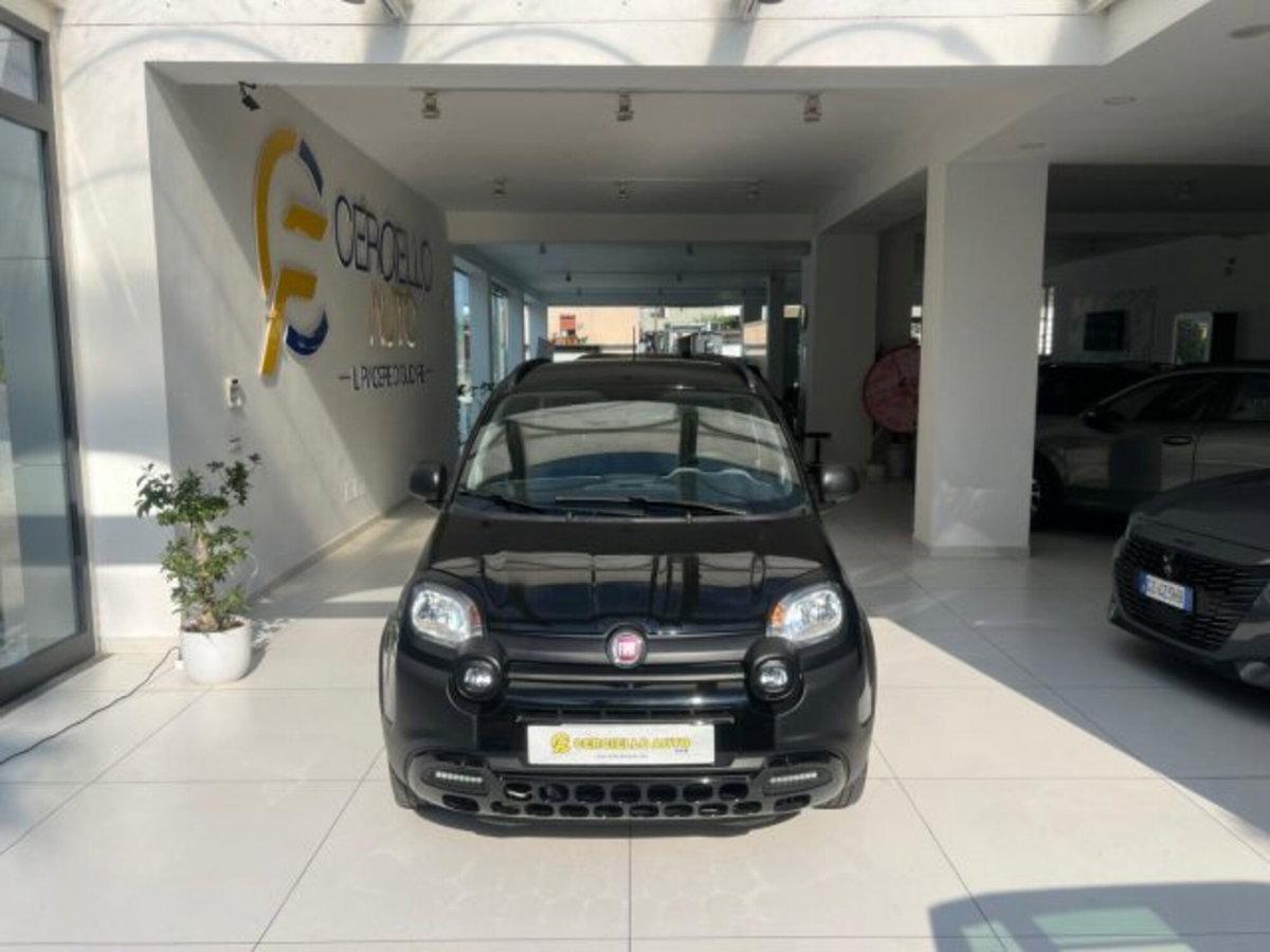 Fiat Panda Cross 1.0 firefly hybrid Cross s&s 70cv 5p.ti (2)