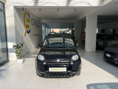 Fiat Panda Cross 1.0 firefly hybrid Cross s&s 70cv 5p.ti (2)