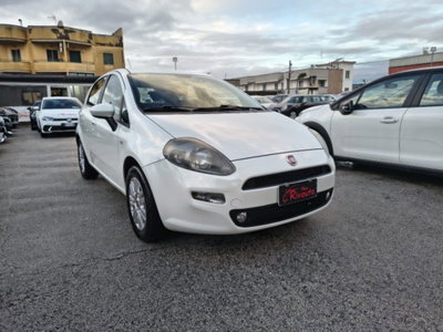 Fiat Punto 1.3 MJT II 75 CV 5 porte Street (3)