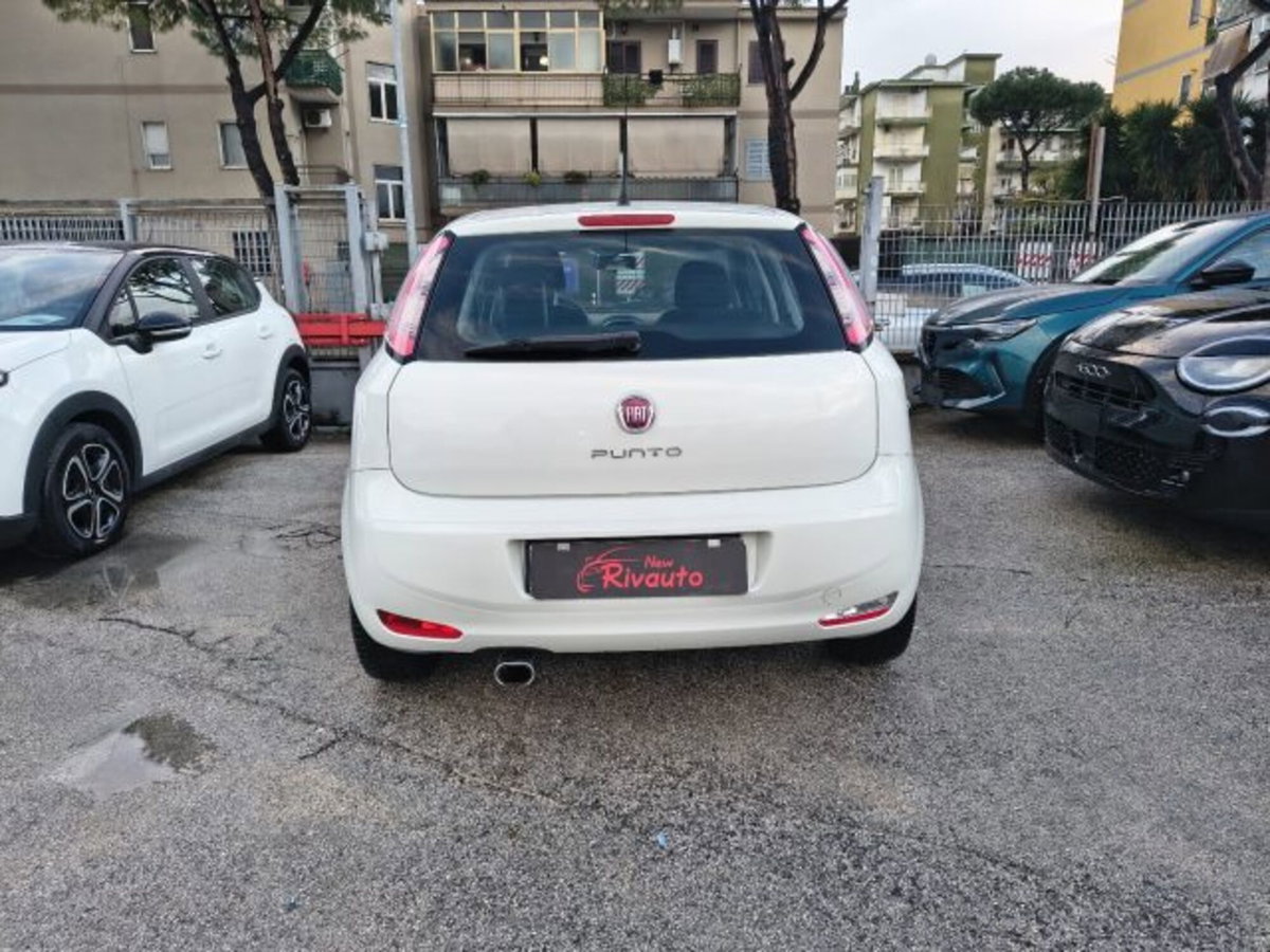 Fiat Punto 1.3 MJT II 75 CV 5 porte Street (4)