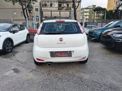 Fiat Punto 1.3 MJT II 75 CV 5 porte Street (4)