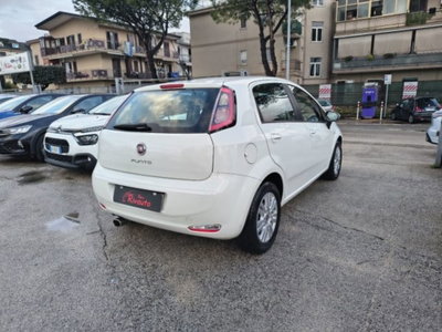 Fiat Punto 1.3 MJT II 75 CV 5 porte Street (6)