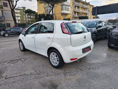 Fiat Punto 1.3 MJT II 75 CV 5 porte Street (7)