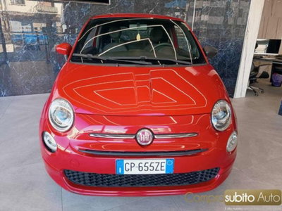 Fiat 500 1.0 Hybrid Red usata