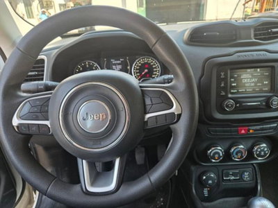 Jeep Renegade 2.0 Mjt 4WD Active Drive Sport (6)
