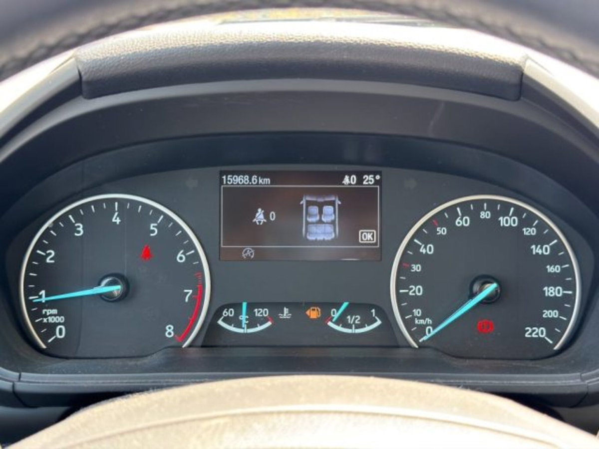 Ford EcoSport 1.0 EcoBoost 100 CV Plus (15)