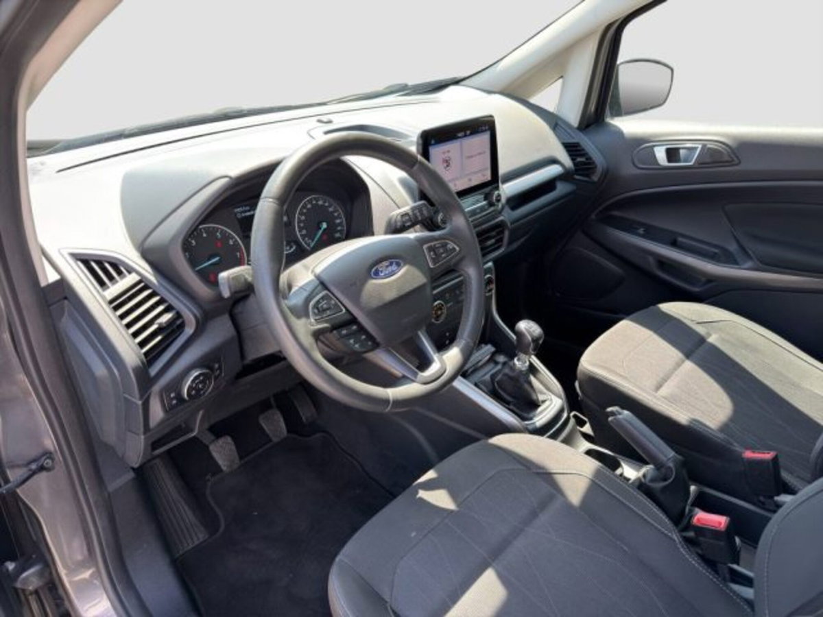 Ford EcoSport 1.0 EcoBoost 100 CV Plus (9)