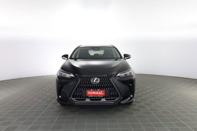 Lexus NX Hybrid 4WD Premium usata